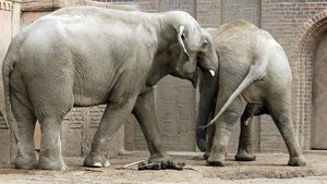 comp_BBBU7599.jpg comp_BBBU7599.jpg