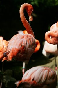 comp_BBBU7636.jpg comp_BBBU7636.jpg