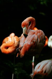 comp_BBBU7637.jpg comp_BBBU7637.jpg