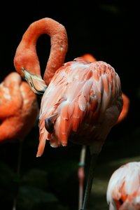 comp_BBBU7646.jpg comp_BBBU7646.jpg