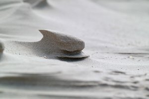 net_SDIM1041 Kopie.jpg