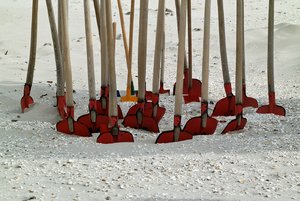 net_SDIM1111 Kopie.jpg