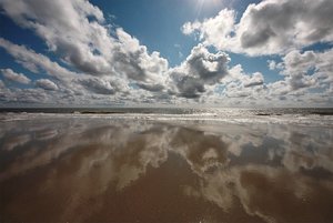 net_SDIM1088 Kopie.jpg