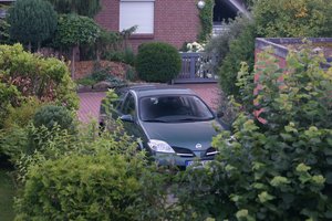 comp_mit Kenko cpl.jpg