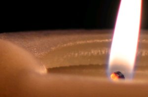 DSC_6321_100.jpg DSC_6321_100.jpg