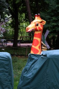 Compressed_0020_.jpg Compressed_0020_.jpg