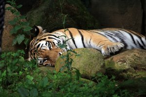 Compressed_0022_.jpg Compressed_0022_.jpg