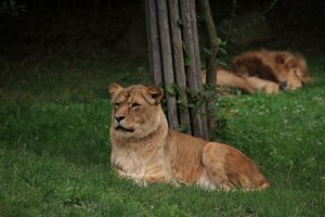 Compressed_0023_.jpg Compressed_0023_.jpg