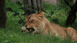 Compressed_0024_.jpg Compressed_0024_.jpg