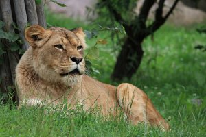 Compressed_0025_.jpg Compressed_0025_.jpg