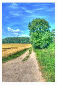 0And4more_tonemapped(1).jpg 0And4more_tonemapped(1).jpg