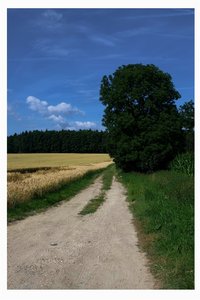 Landschaft(1).jpg Landschaft(1).jpg