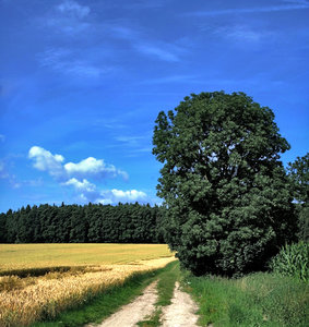 Landschaft Anschnitt.jpg Landschaft Anschnitt.jpg