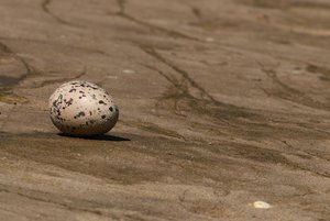 net_SDIM0897 Kopie.jpg