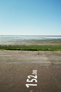 net_SDIM1875 Kopie.jpg