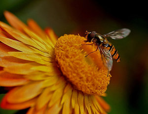 003 neu neu neu neu.jpg