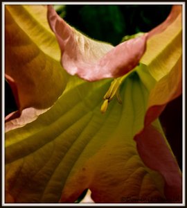 SAM_3516_bearbeitet-1.JPG SAM_3516_bearbeitet-1.JPG