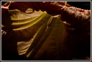 SAM_3518_bearbeitet-1.JPG SAM_3518_bearbeitet-1.JPG