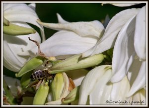 SAM_3551_bearbeitet-1.JPG SAM_3551_bearbeitet-1.JPG