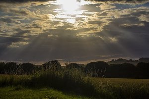 _MG_0100f.jpg _MG_0100f.jpg