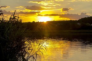 _MG_0207f.jpg _MG_0207f.jpg