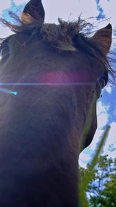 klein2.jpg klein2.jpg