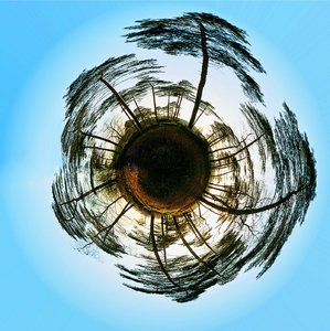 net_SDIM4382 Kopie.jpg