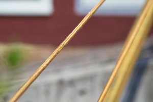 IMG00145_skal.jpg IMG00145_skal.jpg