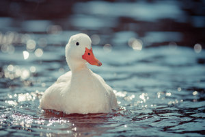 20120703-197-2 bearb..jpg