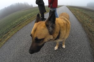 IMG07644.jpg IMG07644.jpg