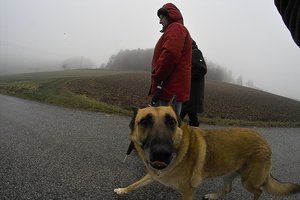 IMG07647.jpg IMG07647.jpg