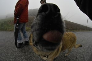 IMG07651.jpg IMG07651.jpg