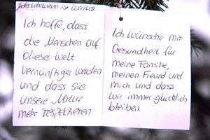 SDIM3008.jpg SDIM3008.jpg