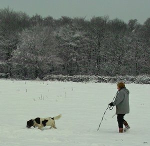 Forum Flecken in grün(c) PPf.jpg Forum Flecken in grün(c) PPf.jpg