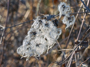 SDIM6918_1-1 Kopie Kopie.jpg