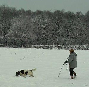 Forum Flecken in grün(c) PPf_neu.jpg Forum Flecken in grün(c) PPf_neu.jpg