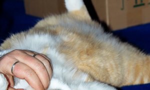 ISO400_100Crop.JPG ISO400_100Crop.JPG