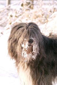 SDIM3031-x3f.jpg SDIM3031-x3f.jpg