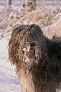 SDIM3031.jpg SDIM3031.jpg