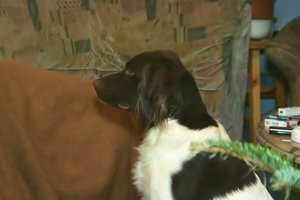 ForumSDIM3049_1(c) PPf.jpg