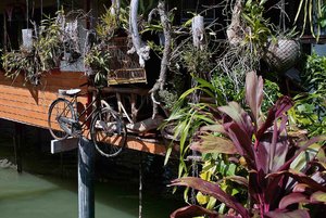 comp2_Thailand 2009-71.jpg