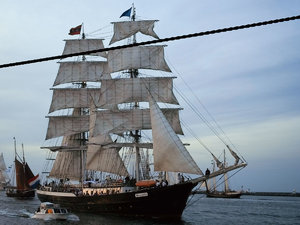 SDIM0562_1-1 Kopie-O.jpg