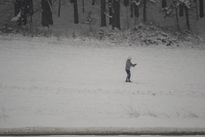 IMG08323_x3f.jpg IMG08323_x3f.jpg