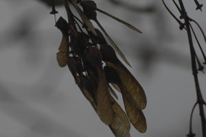 IMG08367x3f_b8.jpg IMG08367x3f_b8.jpg