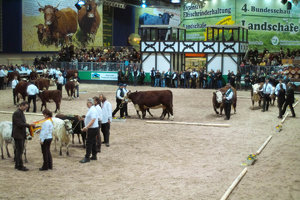 SDIM0062.jpg SDIM0062.jpg