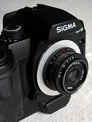 235706561.jpg 235706561.jpg