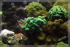 Bilderforum 07 SDIM3683k(c) PPf.jpg