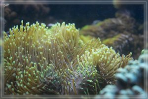 Bilderforum 08 SDIM3658(c) PPf.jpg