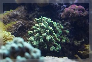 Bilderforum 09 SDIM3659(c) PPf.jpg