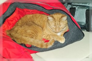 Bilderforum 13 SDIM3726(c) PPf.jpg